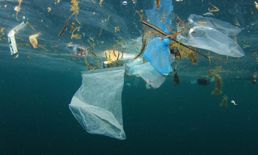 Pollution plastique dans les mers et océans